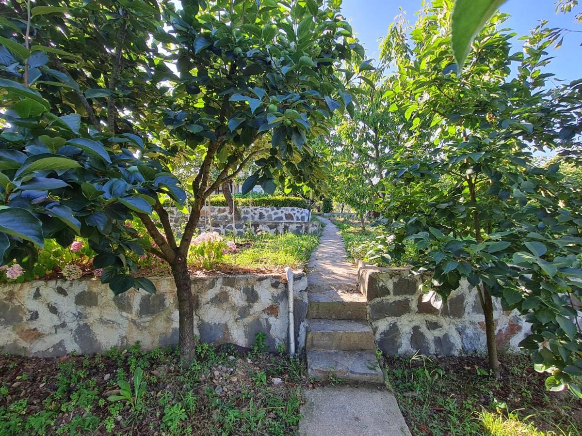 Bizim Ev Villa Sapanca Exterior foto