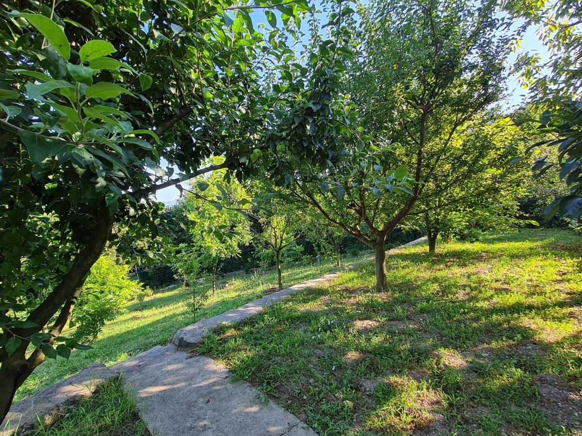 Bizim Ev Villa Sapanca Exterior foto